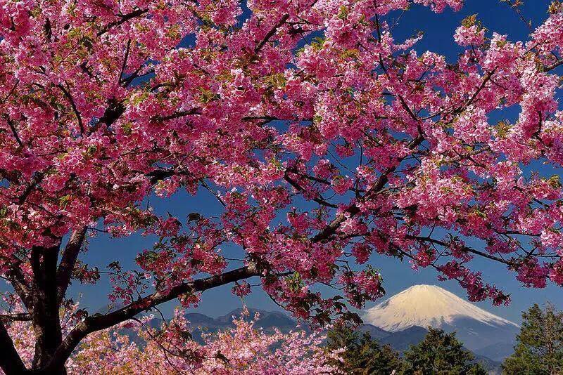 Готель Hakone Pacific Екстер'єр фото
