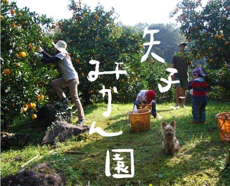 Готель Hakone Pacific Екстер'єр фото