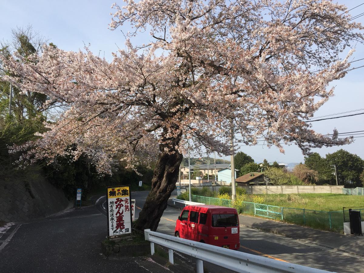 Готель Hakone Pacific Екстер'єр фото