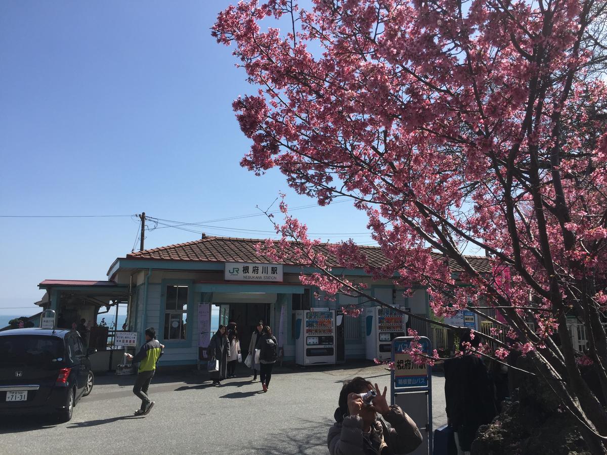 Готель Hakone Pacific Екстер'єр фото