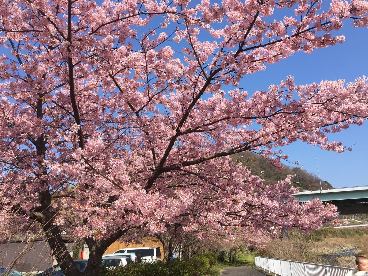 Готель Hakone Pacific Екстер'єр фото