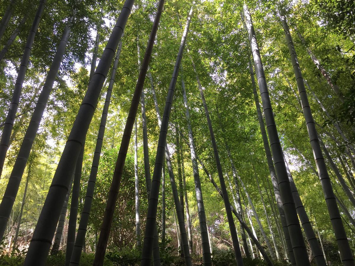 Готель Hakone Pacific Екстер'єр фото