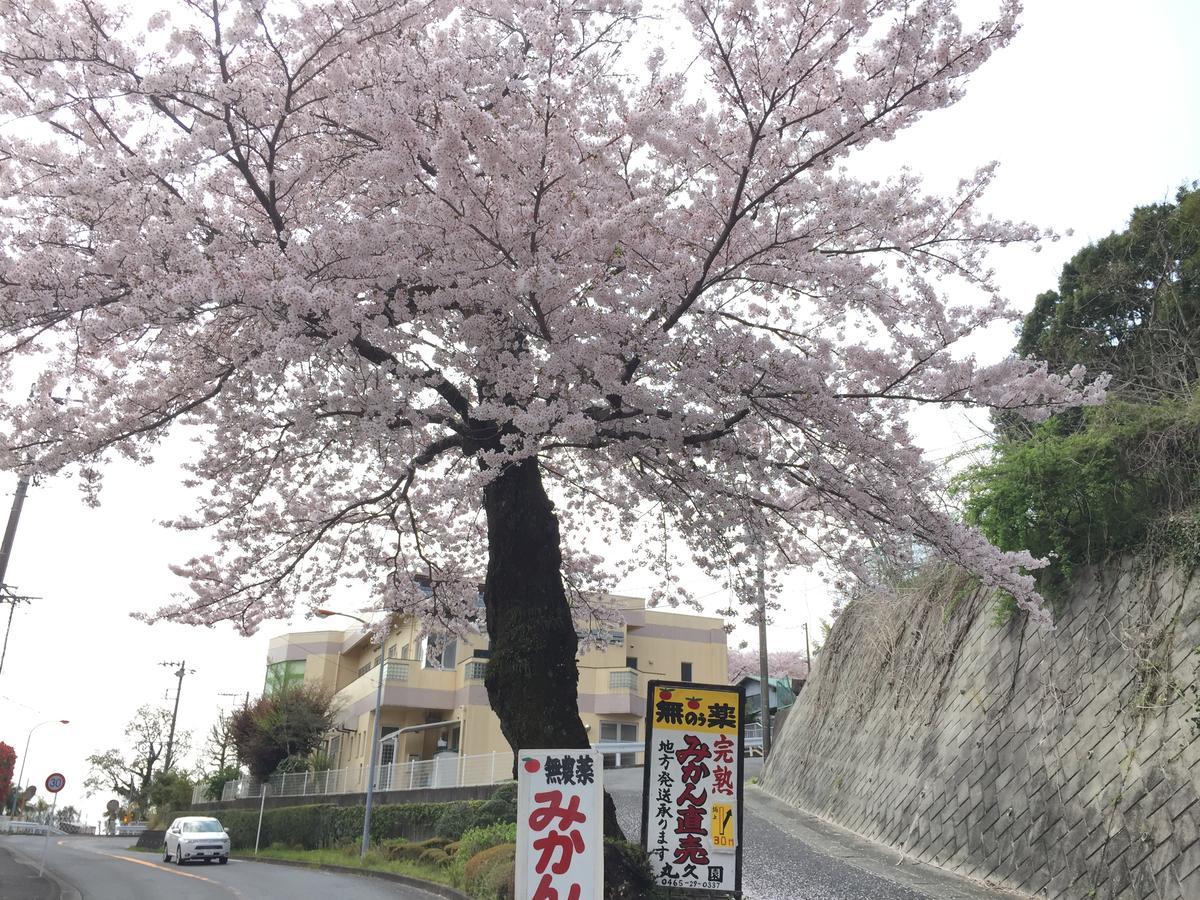 Готель Hakone Pacific Екстер'єр фото