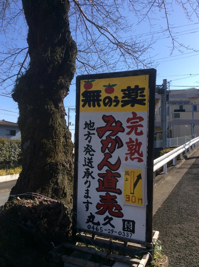 Готель Hakone Pacific Екстер'єр фото